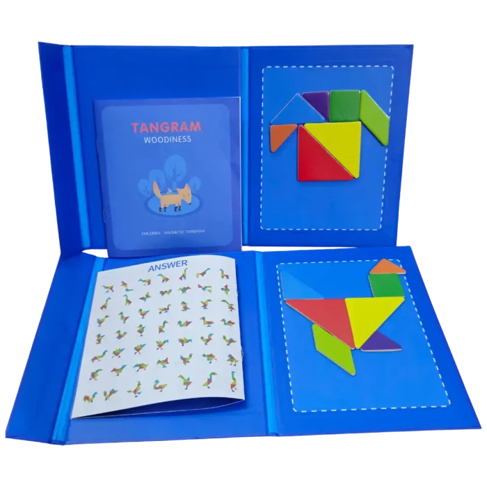 Magnetic Tangram – Brain Development and Creative Learning Toy for Kids ...