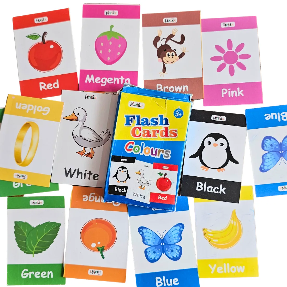 flash cardBangladesh card story bookcard Kids Color Learning Flash Cards