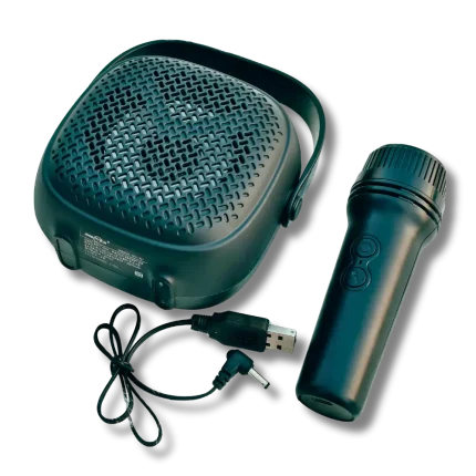 Portable Mini Bluetooth Karaoke Speaker with Wireless Microphone for Kids & Family